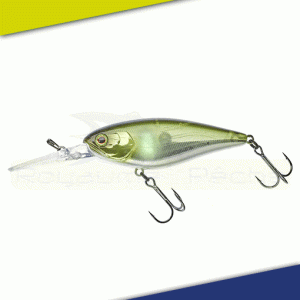 Leurre Jackall Illex Flat DD Squirrel 79 SP