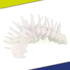 Leurre Illex Larva 1.34